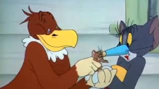 Tom & Jerry   Season 2   Episode 9 Part 3 of 3   Flirty Birdy