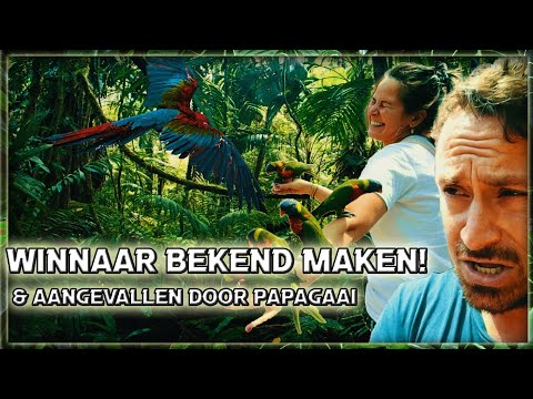 Winnaar €250 & Aangevallen Door Een Papegaai! - Vloggende vader #11