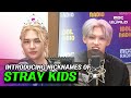 C C STRAY KIDS Introducing Themselves By Their Favorite Nicknames STRAYKIDS 
