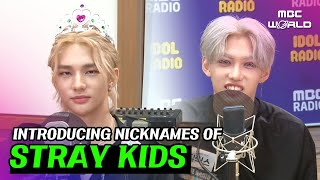 [C.C.] STRAY KIDS introducing themselves by their favorite nicknames #STRAYKIDS