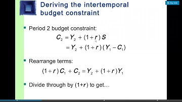 Irving Fisher Consumption Model, Macroeconomics, BS 4th,M,lect#6