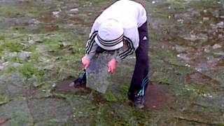Little Gangsters Messing On Ice