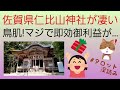 佐賀県の仁比山神社が凄い❗マジで即効御利益✨