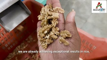 Taiho Color Sorter Ai Deep Learning result on Walnuts.
