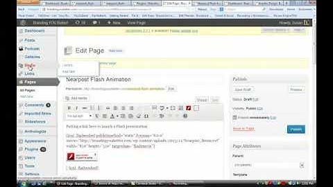 How to Embed a Flash Slideshow in WordPress