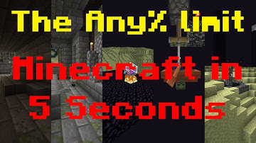 Minecrafts Most Revolutoinary TAS | Minceraft in 5 Secnods