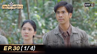 จอมโจรดอกไม้ขาว | Ep.30 (1/4) | 4 ก.ย. 66 | ประเทศไทยรับชมได้ทาง oneD