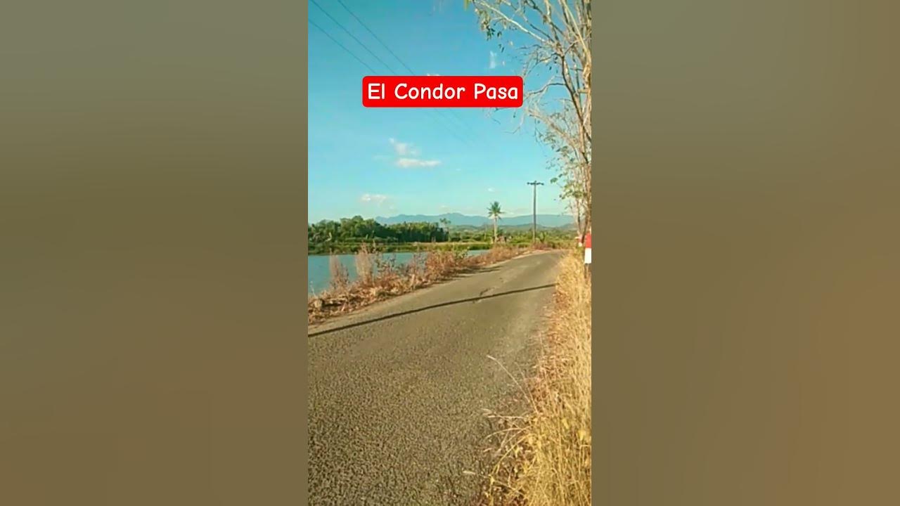 El Condor Pasa #music #flute #musica #instrumental #flutemusic
