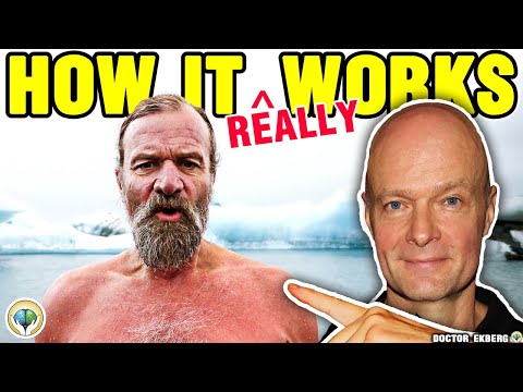 Wat gebeurt er tijdens het ademen van Wim Hof?