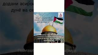 #нашид #мусульмани #намаз #коран #муслим #рекомендации