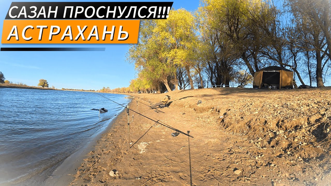 ОДИН! ДИКАРЕМ! В АСТРАХАНЬ!!! ВЕСНА 2025! САЗАН!!!