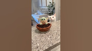 Is Cat Grass Worth Growing for Cats? | The Pack