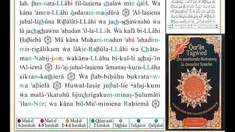 ختمة من مصحف التجويد باللغة الألمانية الصفحة رقم 423