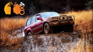DO 4X4 DRIVERS USE DIFF LOCKS TOO MUCH? Two sides of the story | 4xOverland
