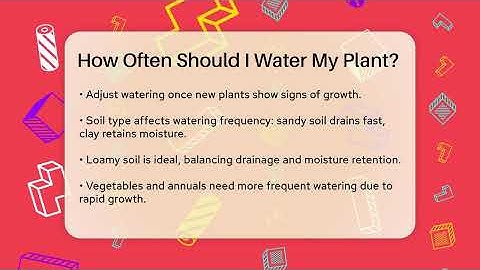 How Often Should I Water My Plant? - The Plant Enthusiast