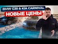 BMW G20 &amp; Kia Carnival новый цены!