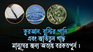 কুরআন, বৃস্টির পানি এবং জাউতুন গাছ-যা মানুষের জন্য অত্যন্ত বরকতপূর্ন । #islamicvideo, #religion