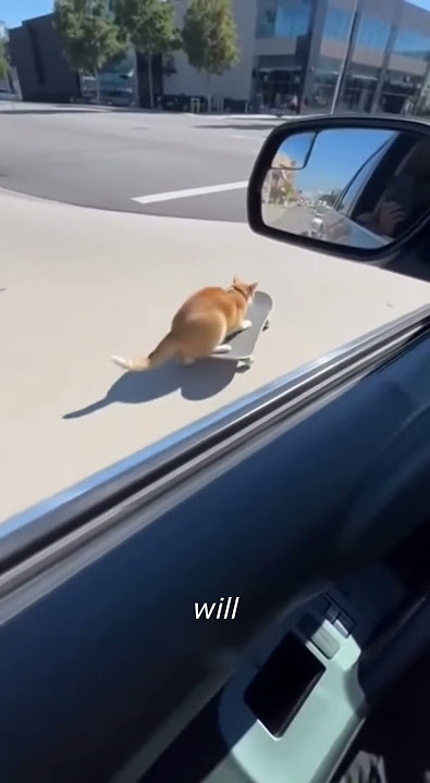 DO NOT CLICK THE SOUND 😭😭