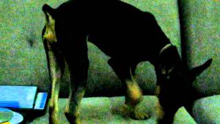 MVI_4062.AVI