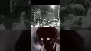 Dodo is seen in a old photo #dodo