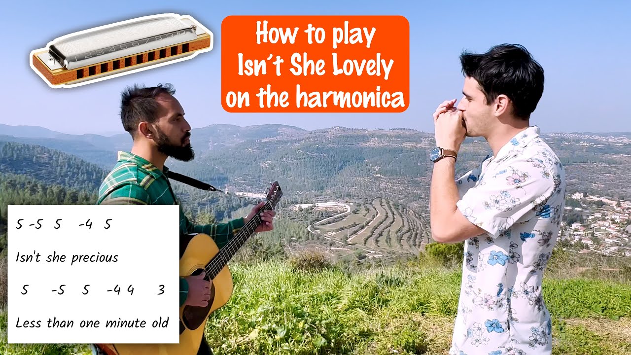 Harmonica Isn't She Lovely (+TABS) YouTube