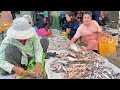 Busy Fish market in my village, Expecting mum buy river fish cooking - Countryside life TV