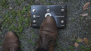 Introducing Looperverse
