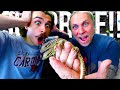 SURPRISING MY SON WITH HIS DREAM BABY LIZARDS!! | BRIAN BARCZYK