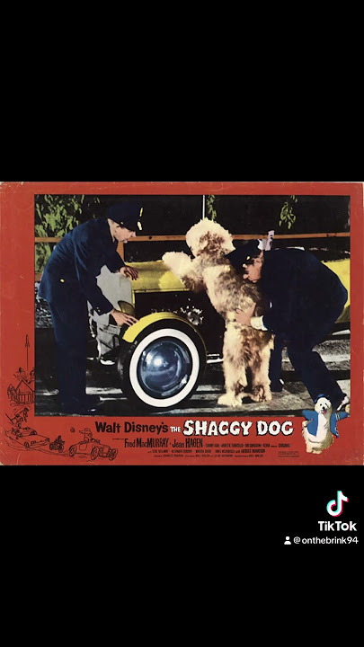 THE SHAGGY DOG (1959) 9/10
