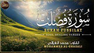 سورة فصلت ( كاملة ) للقارئ محمد الغزالي | Mohammed Al-Ghazali Surah Fussilat