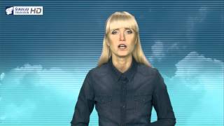 Infostudija 2014-11-10