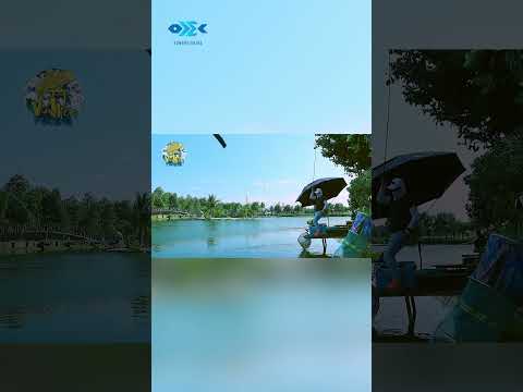 TRẢI NGHIỆM CÂU CHÉP HỒ VIỆT THÀNH - PHẦN 1