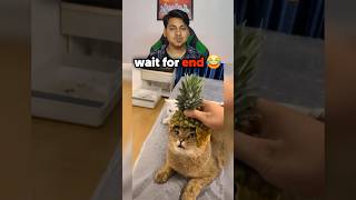 Try not To laugh Challenge pt 1033 😂 @jelroolive | Water Challenge | #viral #trending #youtubeshorts