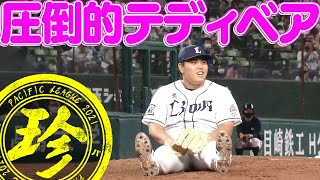 圧倒的テディベア