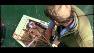 JAWS RECUT...DONT IGNORE QUINT
