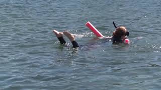 Swim with the Manatees   Laura