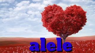 Ruby(ALELE) LYRICS