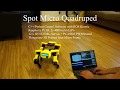 Raspberry Pi Spot Micro Quadruped Project