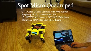Raspberry Pi Spot Micro Quadruped Project