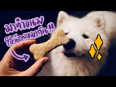 มาทำขนมให้น้องหมากันเถอะ !! | Homemade Peanut Butter Pumpkin Dog Biscuit | EP 02