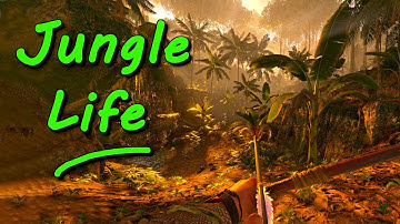 Jungle Life (Green Hell Survival Mode Gameplay - Green Hell Difficulty)