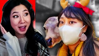 A DEER SCARES A TWITCH STREAMER!