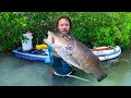 Trophy fish in my backyard  paddle board spearfishing  ccc