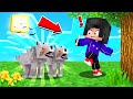 VOLEVO SOLO SALVARLI... - MINECRAFT BIG VANILLA EP.2