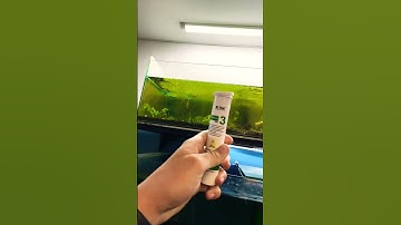 Thumbnail of Adding Dr Tank co2 fertiliser very satisfying!