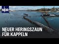 Kappeln: Europas letzter Heringszaun   | Die Nordreportage | NDR Doku