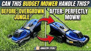 Wild Badger 40V Mower vs Overgrown Yard Torture Test!