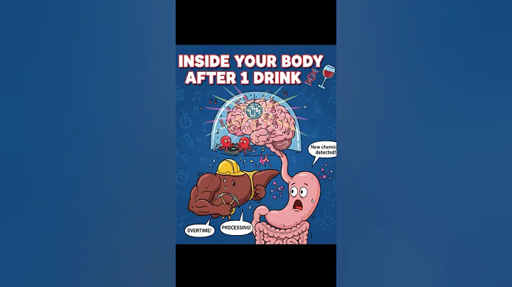 What REALLY Happens Inside When You Drink Alcohol 🍷🧬 #AlcoholEffects #shorts #biologyfacts #facts