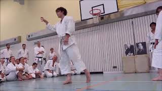 Advance Karate techniques by Andre Bertel Krefeld