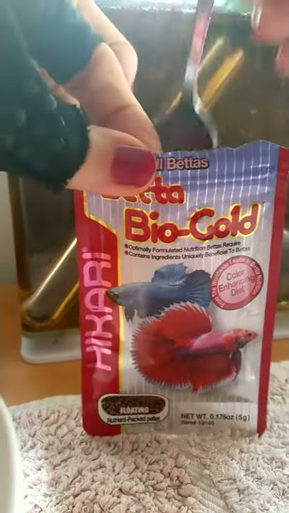 Hikari Betta Biogold Nourriture spéciale Betta Combattant